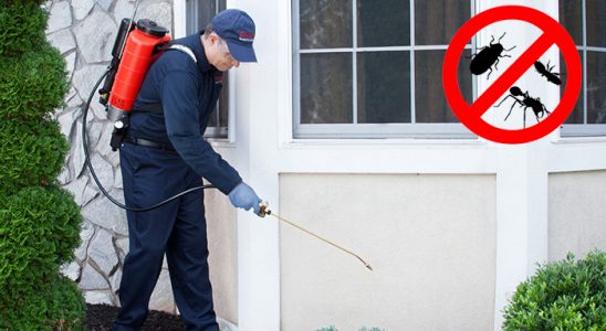 Anamur Hamam Böceği İlaçlama böcek ilaçlama ve haşere kontrolü — ilaclama-tr.com